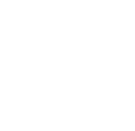 Cessna logo